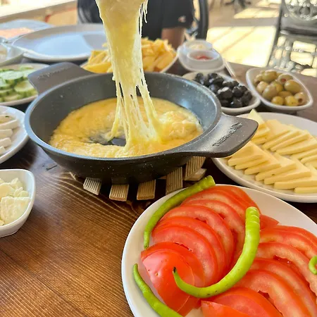 Library Cave House * Ürgüp