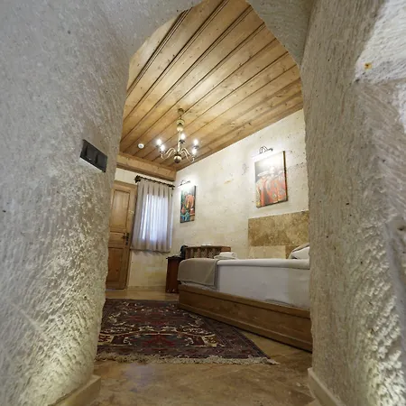 Hotel Library Cave House