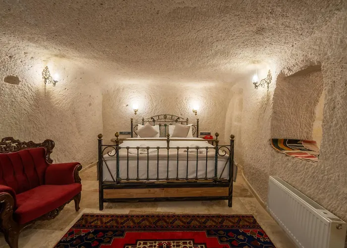 Hotel Library Cave House