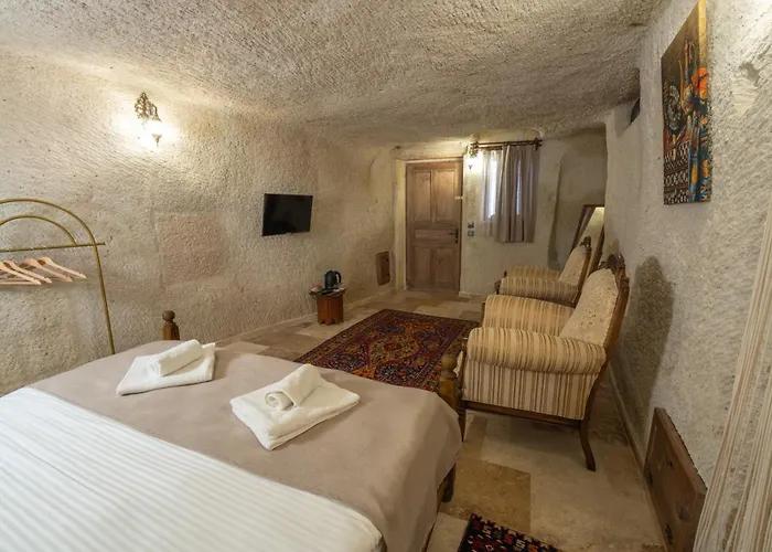 Hotel Library Cave House Ürgüp