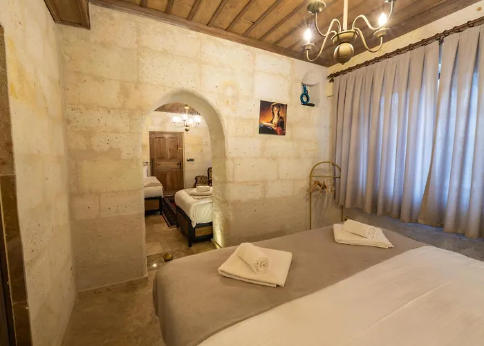 Hotel Library Cave House *