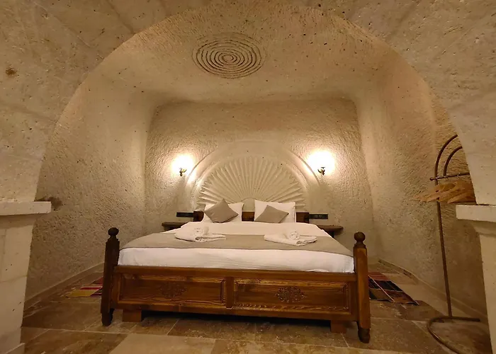 Hotel Library Cave House