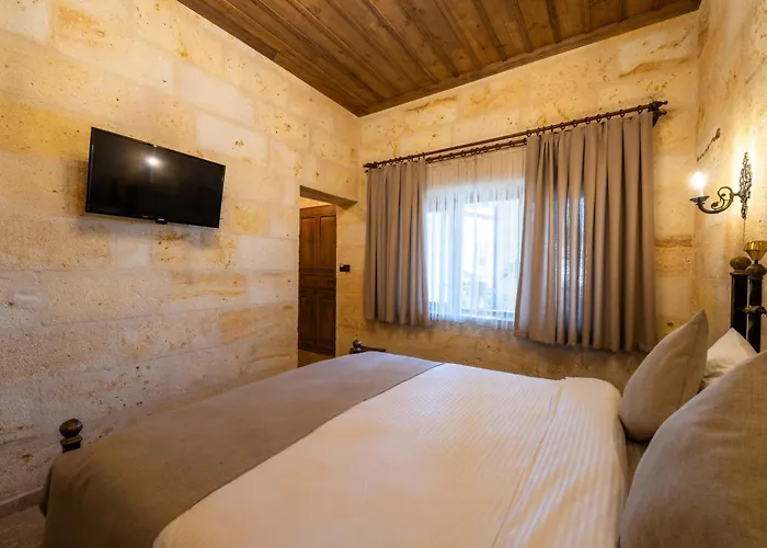 Hotel Library Cave House Ürgüp