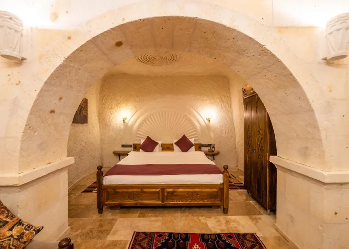 Hotel Library Cave House