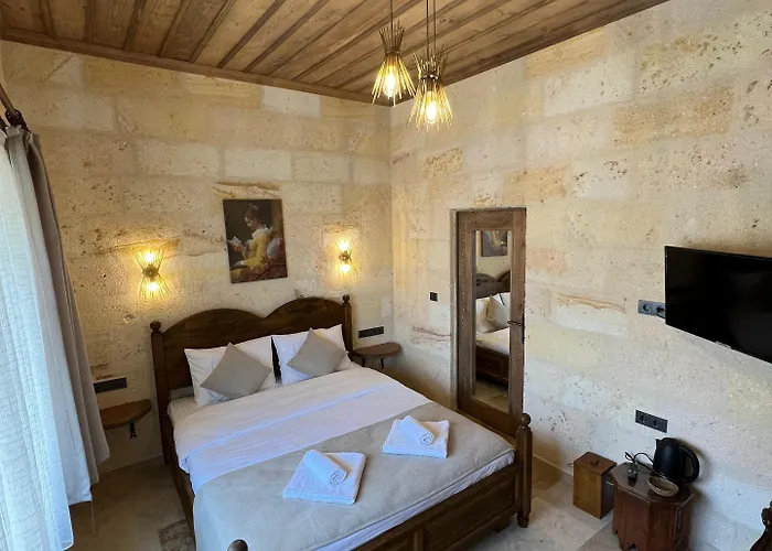 Hotel Library Cave House