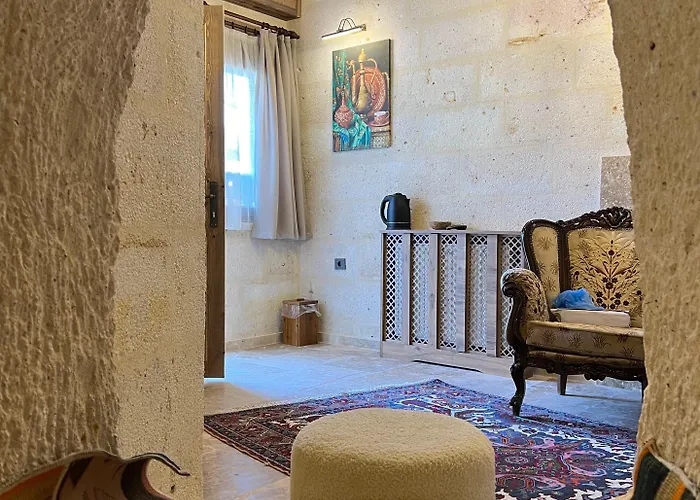 Hotel Library Cave House