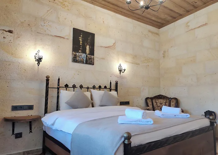 Hotel Library Cave House *