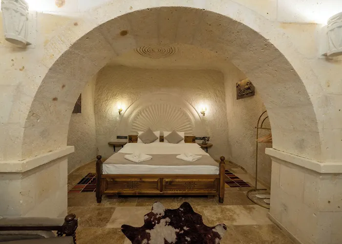 Hotel Library Cave House